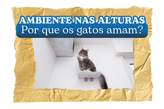 CAPA-BLOG-AMBIENTE-NAS-ALTURAS