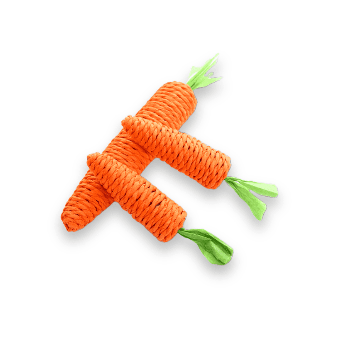 Brinquedo Cenoura de Sisal para Gatos
